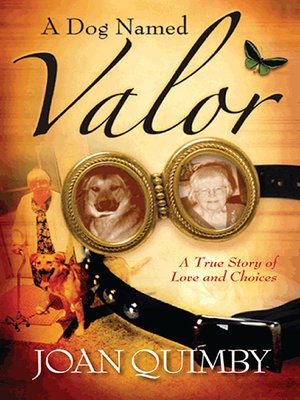 cover image of A Dog Named Valor